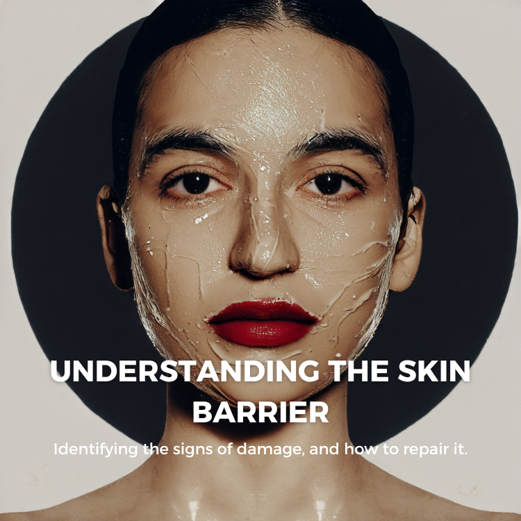 Understanding the Skin Barrier: Signs of Damage and How to Repair It