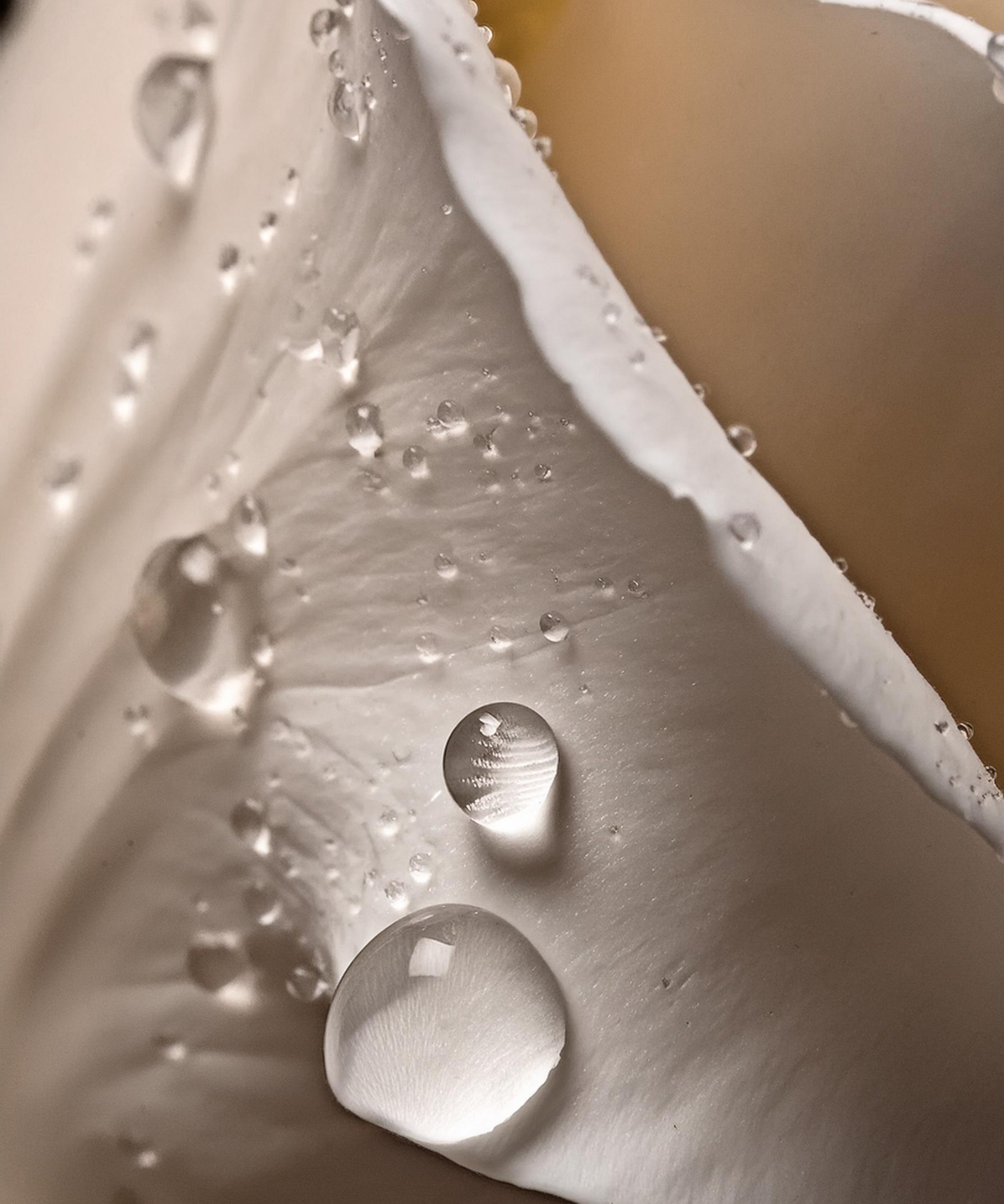 Face Mist